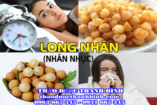 Long nhãn và đặc điểm nhận biết