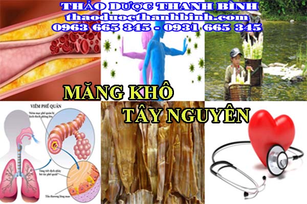 Đặc điểm về măng khô