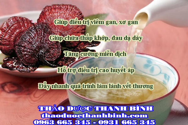 Dùng nấm lim xanh sao cho hiệu quả