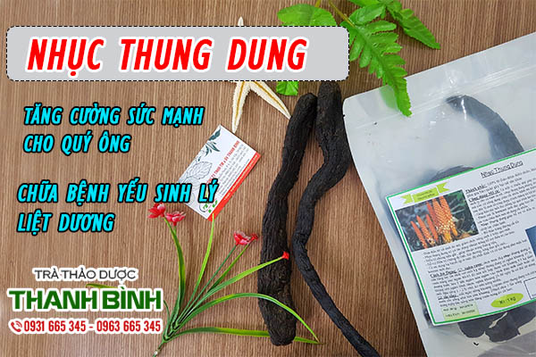 Hướng dẫn ngâm rượu từ nhục thung dung