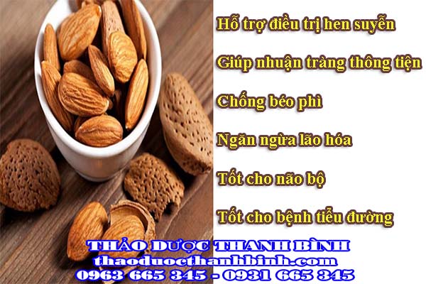 Hạnh nhân có những công dụng gì? 