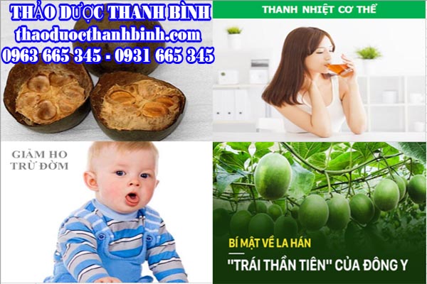 Quả la hán có công dụng gì?