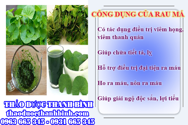 Công dụng trị bệnh của rau má