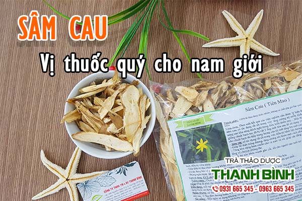 Bài thuốc chữa liệt dương từ sâm cau