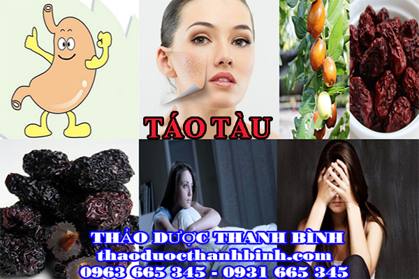 Đặc điểm nhận biết quả táo tàu