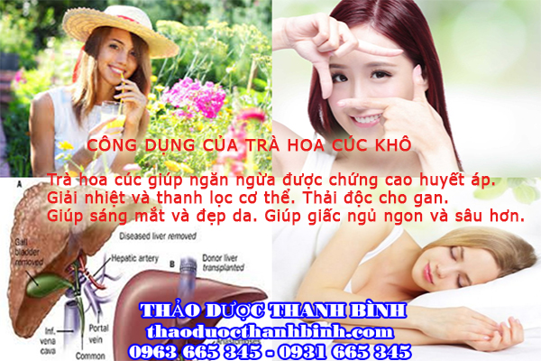 Mua bán sỉ và lẻ hoa cúc khô tại Thảo dược Thanh Bình giá tốt nhất 