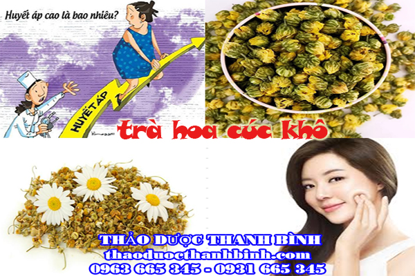  hoa cúc khô 
