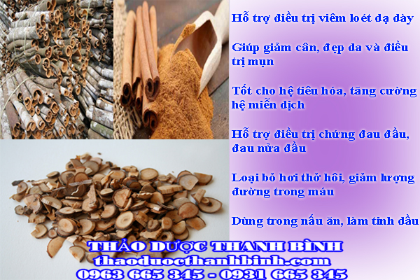 vỏ quế bột quế 