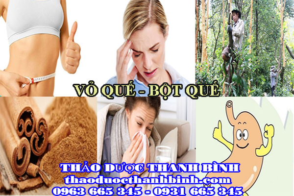vỏ quế bột quế