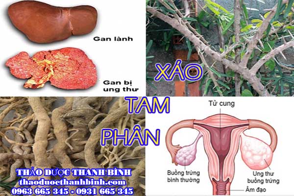  xáo tam phân