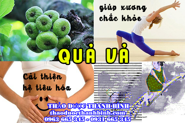 Qủa Vả quả vả