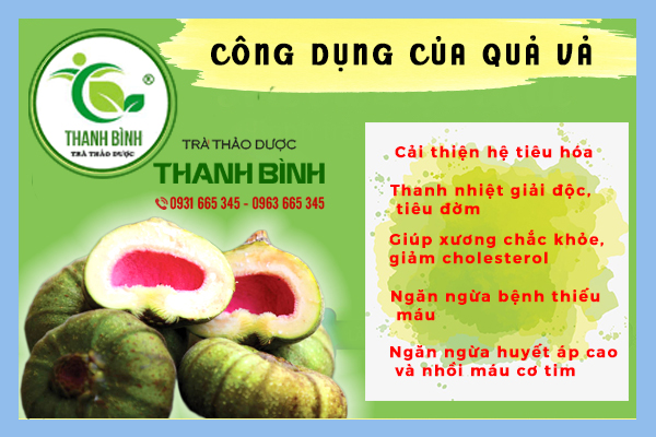 Qủa Vả quả vả