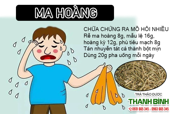 Công dụng ma hoàng