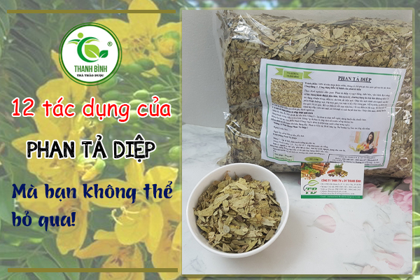 Những công dụng trị bệnh của phan tả diệp