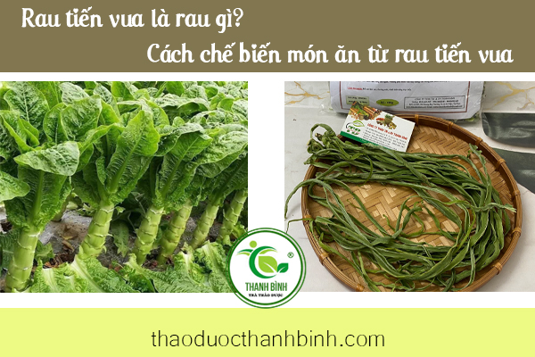 Giới thiệu về công dụng rau tiến vua