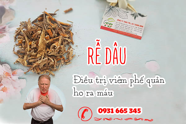 Dùng rễ dâu sao cho đúng cách?