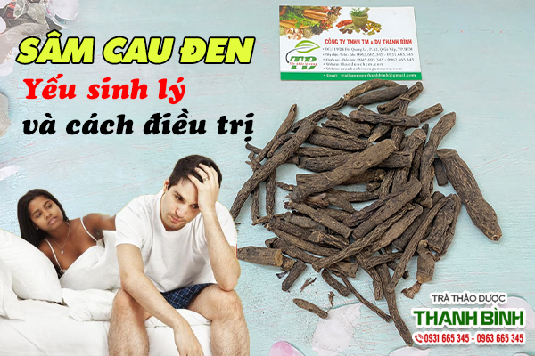 Sâm cau đen và một số bài thuốc trị yếu sinh lý ở nam giới