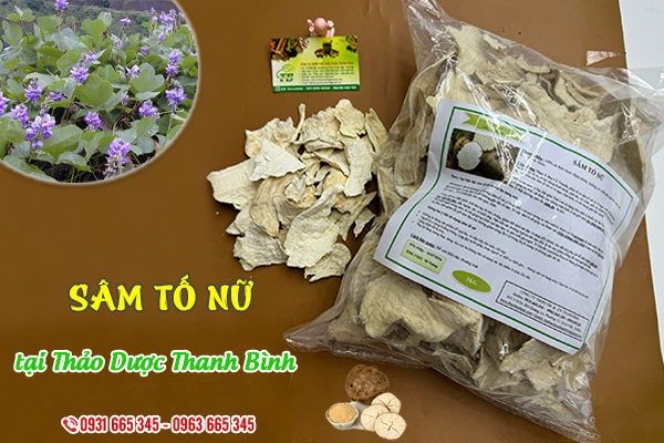 Sâm tố nữ Thảo Dược Thanh Bình