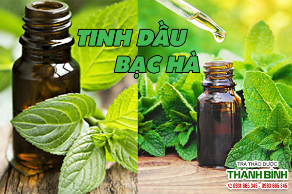 Tinh dầu bạc hà nguyên chất có tại Thảo dược Thanh Bình