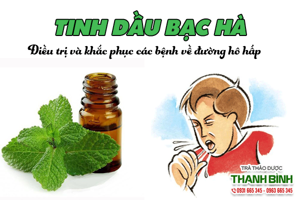 Tinh dầu bạc hà trị các chứng bệnh về đường hô hấp hiệu quả