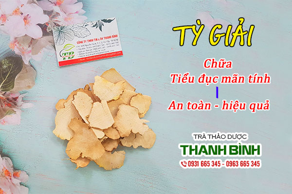 ty giải