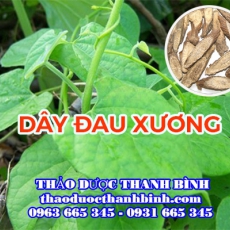 Cửa hàng bán dây đau xương tại Bình Dương giúp giảm đau xương khớp