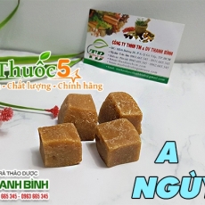 A ngùy [Hình ảnh, công dụng, cách dùng] Mua ở đâu chất lượng tốt nhất?