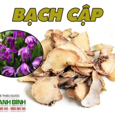 Mua bán bạch cập ở quận Tân Phú có tác dụng ngăn ngừa ung thư hiệu quả