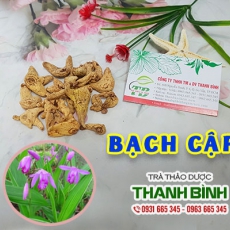 Bạch cập [Hình ảnh, công dụng, cách dùng] Mua ở đâu chất lượng tốt nhất???