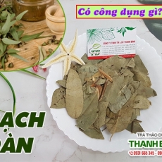 Bạch đàn - Dược liệu giúp giảm căng thẳng tại Quận 3