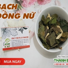 Mua bán bạch đồng nữ tại quận 2 có tác dụng giúp trị vết thương bỏng hiệu quả tốt nhất