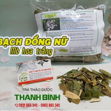 Bạch đồng nữ (mò hoa trắng) [Hình ảnh, công dụng, cách dùng] Mua ở đâu chất lượng tốt nhất?
