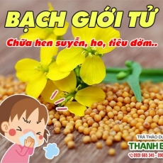 Mua bán bạch giới tử tại quận 12 có tác dụng trị viêm phổi ở trẻ nhỏ uy tín nhất
