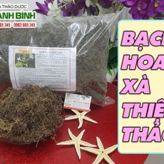 Mua bán bạch hoa xà thiệt thảo ở huyện Củ Chi hỗ trợ trị viêm amidan cấp an toàn hiệu quả nhất