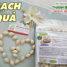 Mua bán bạch quả tại quận 8 có tác dụng trị ho có đờm uy tín nhất