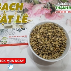 Mua bán bạch tật lê ở quận Bình Tân giúp giảm hiện tượng vú cương tốt nhất