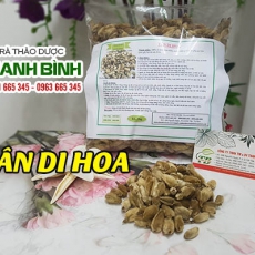 Tân di hoa [Hình ảnh, công dụng, cách dùng] Mua ở đâu chất lượng tốt nhất?