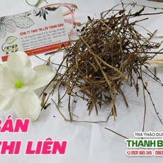 Mua bán bán chi liên ở huyện Cần Giờ có tác dụng chữa rắn cắn hiệu quả nhất