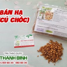 Bán hạ [Hình ảnh, công dụng, cách dùng] Mua ở đâu chất lượng tốt nhất?