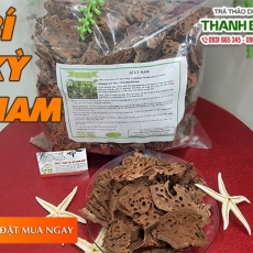 Mua bán bí kỳ nam tại quận 12 có tác dụng trị viêm gan vàng da uy tín nhất