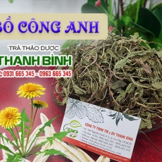 Bồ công anh [Hình ảnh, công dụng, cách dùng] Mua ở đâu chất lượng tốt nhất???