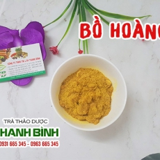 Bồ hoàng [Hình ảnh, công dụng, cách dùng] Mua ở đâu chất lượng tốt nhất???