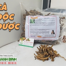 Cà độc dược [Hình ảnh, công dụng, cách dùng] Mua ở đâu chất lượng tốt nhất???