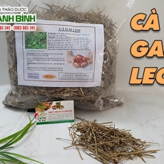 Mua bán cà gai leo ở quận Bình Tân giúp trị xơ gan cổ trướng tốt nhất