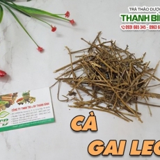 Cà gai leo [Hình ảnh, công dụng, cách dùng] Mua ở đâu chất lượng tốt nhất???