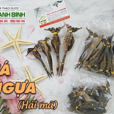 Mua bán cá ngựa tại quận 5 giúp trị vô sinh hiệu quả nhất