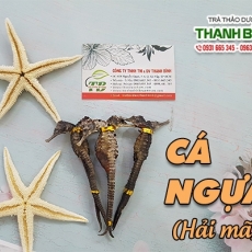 Cá ngựa [Hình ảnh, công dụng, cách dùng] Mua ở đâu chất lượng tốt nhất???