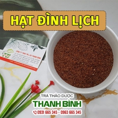 Hạt đình lịch [Hình ảnh, công dụng, cách dùng] Mua ở đâu chất lượng tốt nhất?