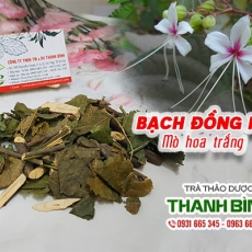 Cách sử dụng bạch đồng nữ điều trị lở ngứa chốc đầu ở trẻ nhỏ
