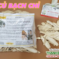 Cách sử dụng củ bạch chỉ trong hỗ trợ trị đau răng hiệu quả tốt nhất